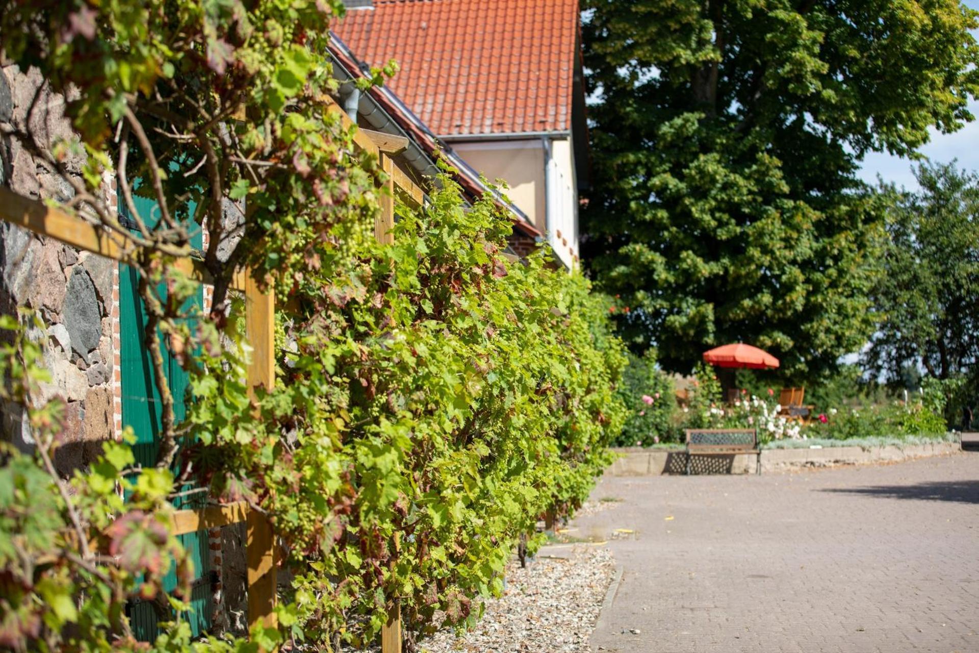 Landurlaub Auf Dem Mellenhof Apartment Funkenhagen Exterior foto